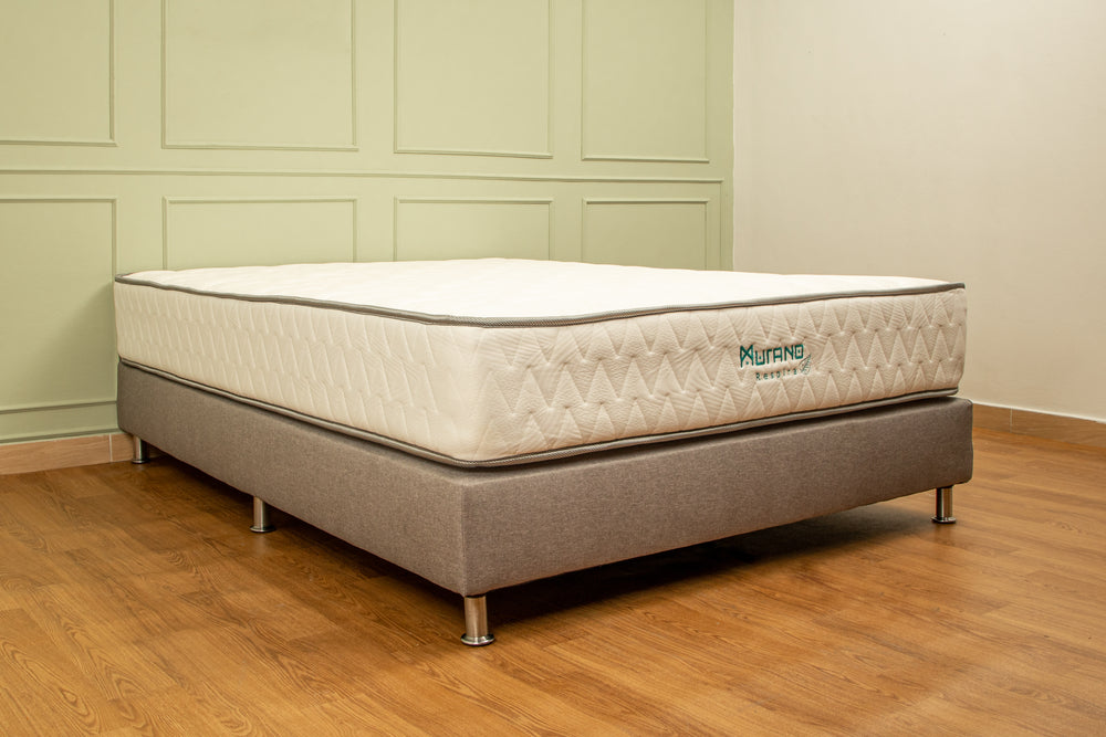 Base cama con colchón + almohada + protector