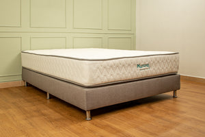 Base cama con colchón + almohada + protector