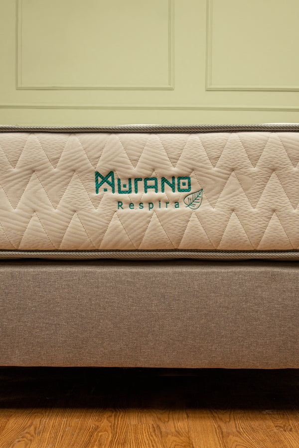 Base cama con colchón + almohada + protector