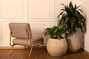 Silla Decorativa Ziba