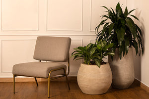 Silla Decorativa Ziba